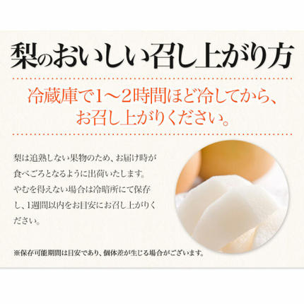 熊本県長洲町のふるさと納税 梨 くまもと梨 秋 旬 なし 季節限定 幸水 豊水 先行 果物 くだもの フルーツ ナシ 梨 先行予約 送料無料 あきづき 甘太 新高 新興 約3.5kg 5玉～15玉前後 熊本県産【着日指定不可】《2026年8月下旬‐11月中旬頃より出荷》旬 果物 お取り寄せ