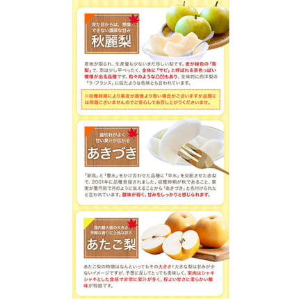 熊本県長洲町のふるさと納税 梨 くまもと梨 秋 旬 なし 季節限定 幸水 豊水 先行 果物 くだもの フルーツ ナシ 梨 先行予約 送料無料 あきづき 甘太 新高 新興 約3.5kg 5玉～15玉前後 熊本県産【着日指定不可】《2026年8月下旬‐11月中旬頃より出荷》旬 果物 お取り寄せ