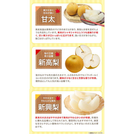 熊本県長洲町のふるさと納税 梨 くまもと梨 秋 旬 なし 季節限定 幸水 豊水 先行 果物 くだもの フルーツ ナシ 梨 先行予約 送料無料 あきづき 甘太 新高 新興 約3.5kg 5玉～15玉前後 熊本県産【着日指定不可】《2026年8月下旬‐11月中旬頃より出荷》旬 果物 お取り寄せ