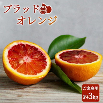 [先行予約] 家庭用 ブラッド オレンジ 3kg 紀州有田産 希少な柑橘フルーツ!