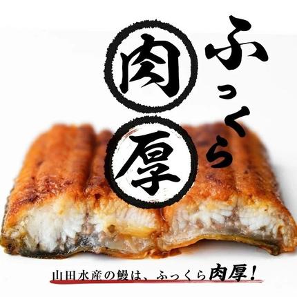 鹿児島県志布志市のふるさと納税 【志布志市人気No.1お礼の品】霧島湧水鰻の蒲焼き 140g以上×3尾＜計420g以上＞ a2-133