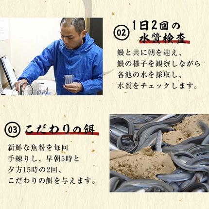 鹿児島県志布志市のふるさと納税 【志布志市人気No.1お礼の品】霧島湧水鰻の蒲焼き 140g以上×3尾＜計420g以上＞ a2-133