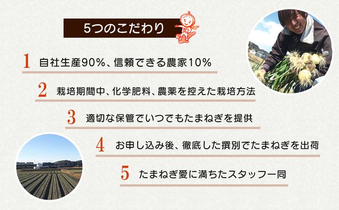 兵庫県淡路市のふるさと納税 【新玉ねぎ】淡路島たまねぎ 大きな2Lサイズ 3kg【発送時期：2026年3月下旬～5月頃】　玉ねぎ 産地直送