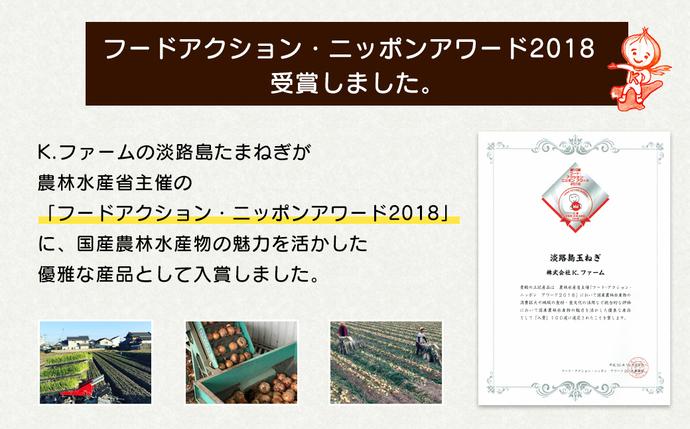 兵庫県淡路市のふるさと納税 【新玉ねぎ】淡路島たまねぎ 大きな2Lサイズ 3kg【発送時期：2026年3月下旬～5月頃】　玉ねぎ 産地直送