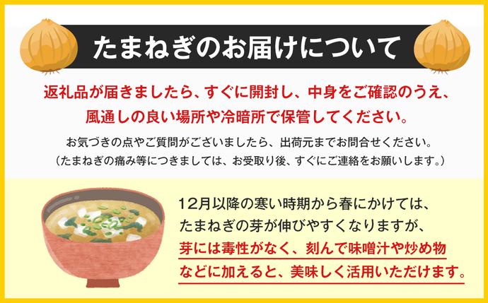 兵庫県淡路市のふるさと納税 【新玉ねぎ】淡路島たまねぎ 大きな2Lサイズ 3kg【発送時期：2026年3月下旬～5月頃】　玉ねぎ 産地直送