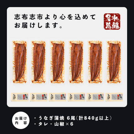 鹿児島県志布志市のふるさと納税 鹿児島県産うなぎ蒲焼 名水慈鰻 6尾＜計840g以上＞ c0-147