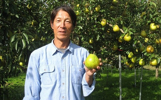 山形県南陽市のふるさと納税 【令和8年産先行予約】 〈訳あり品 家庭用〉 ラ・フランス 約5kg (14～18玉 2～4L) 《令和8年11月中旬～発送》 『寿農園 （近野寿安）』山形県 南陽市 [1056]