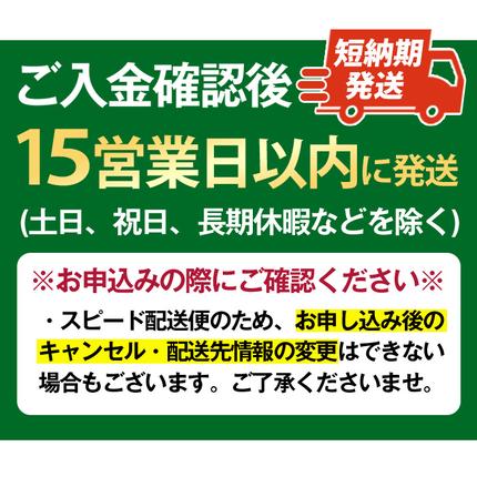 鹿児島県日置市のふるさと納税 No.1099-C 一蘭ラーメンちぢれ麺(計5食・スープ付き) 麺 ラーメン 常温 常温保存 簡単 簡単調理 中華 お手軽 インスタント 本格 博多ラーメン 備蓄 保存食 仕送り 日置市限定 一蘭 ちぢれ麺 【株式会社一蘭】【1099-A】【1099-B】【1099-C】【1340】