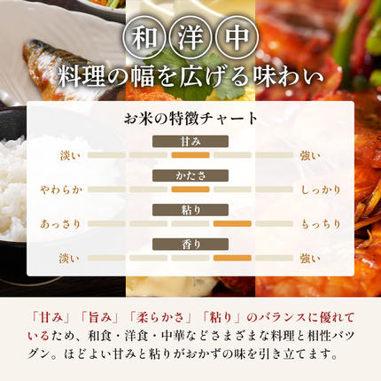 宮城県大河原町のふるさと納税 令和8年産 新米 ひとめぼれ 3kg 12ヵ月 定期便 先行予約 米 お米 白米 精米 こめ コメ 令和8年 宮城県産