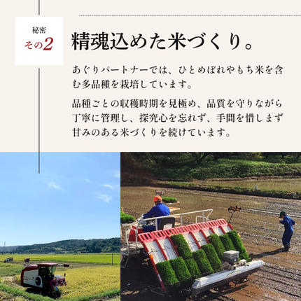 宮城県大河原町のふるさと納税 令和8年産 新米 ひとめぼれ 3kg 12ヵ月 定期便 先行予約 米 お米 白米 精米 こめ コメ 令和8年 宮城県産