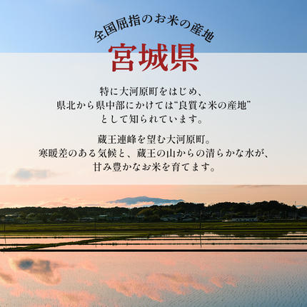 宮城県大河原町のふるさと納税 令和8年産 新米 ひとめぼれ 3kg 12ヵ月 定期便 先行予約 米 お米 白米 精米 こめ コメ 令和8年 宮城県産