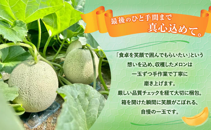 北海道上富良野町のふるさと納税 【令和8年産】富良野 高糖度 赤肉メロン 1玉 約1.8kg ～ 2.3kg うっちーfarm 北海道 メロン フルーツ 果物 デザート上富良野産