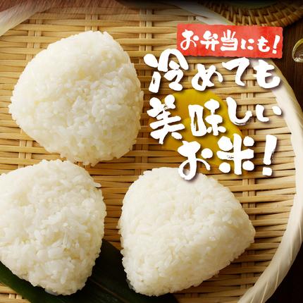 北海道滝川市のふるさと納税 《令和7年産》特別栽培米ななつぼし 5kg×3ヵ月定期便 | 16年連続特A ブランド米 白米 精米 米 お米 こめ 減農薬 単一原料米 ご飯 北海道米 北海道 滝川市