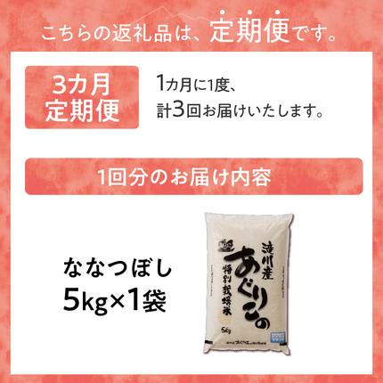 北海道滝川市のふるさと納税 《令和7年産》特別栽培米ななつぼし 5kg×3ヵ月定期便 | 16年連続特A ブランド米 白米 精米 米 お米 こめ 減農薬 単一原料米 ご飯 北海道米 北海道 滝川市