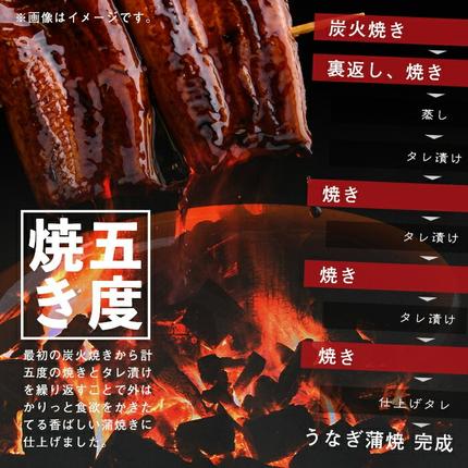 鹿児島県志布志市のふるさと納税 鹿児島県産うなぎ蒲焼 名水慈鰻 特上5尾(1尾190g以上)＜計950g以上＞ c15-001
