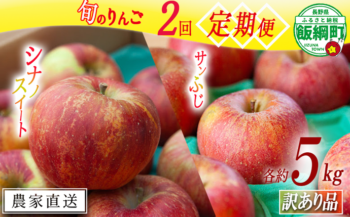 旬のりんご 【 定期便 】 訳あり 5kg