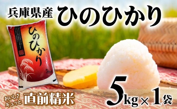 7営業日以内発送】ヒノヒカリ 5kg 白米 令和7年産 【城口商店】米 お 