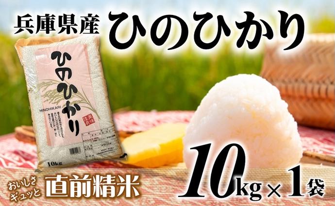 7営業日以内発送】ヒノヒカリ 10kg 白米 令和7年産 【城口商店】米 