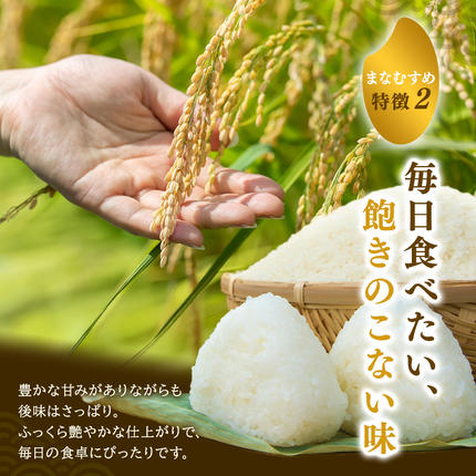 宮城県大河原町のふるさと納税 まなむすめ 定期便12回/5kg×1袋 令和8年産 新米先行予約 宮城県産 米 精米 白米 米 コメ お米 おこめ ブランド米 ご飯 ごはん