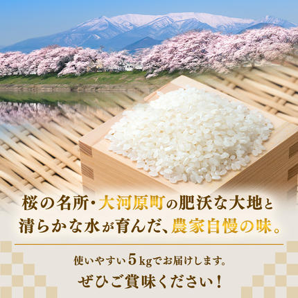 宮城県大河原町のふるさと納税 まなむすめ 定期便12回/5kg×1袋 令和8年産 新米先行予約 宮城県産 米 精米 白米 米 コメ お米 おこめ ブランド米 ご飯 ごはん