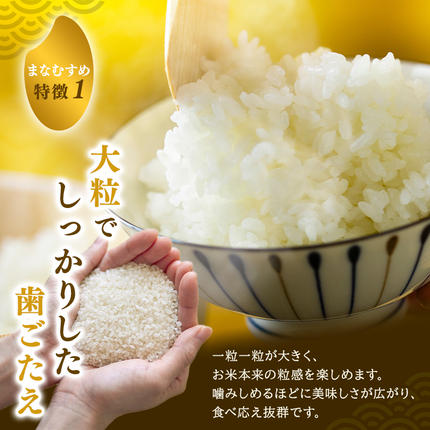 宮城県大河原町のふるさと納税 まなむすめ 定期便6回/5kg×1袋 令和8年産 新米先行予約 宮城県産 米 精米 白米 米 コメ お米 おこめ ブランド米 ご飯 ごはん