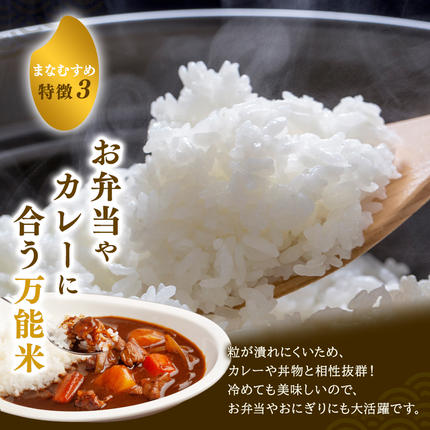 宮城県大河原町のふるさと納税 まなむすめ 定期便6回/5kg×1袋 令和8年産 新米先行予約 宮城県産 米 精米 白米 米 コメ お米 おこめ ブランド米 ご飯 ごはん