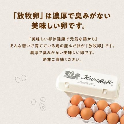 山梨県甲斐市のふるさと納税 放牧卵18個×6ヶ月　人気　おすすめ　国産　贈答　ギフト　お取り寄せ　卵　たまご　タマゴ　玉子　鶏卵　自然卵　放牧卵　平飼い　新鮮　たまごかけご飯