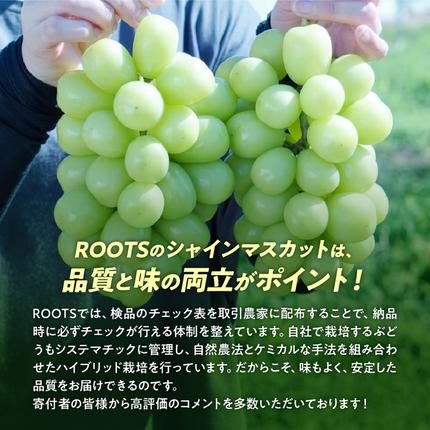 山梨県甲斐市のふるさと納税 【2026年/令和8年発送＜先行予約＞】土にこだわったシャインマスカット　2kg　3房以上　人気　おすすめ　国産　贈答　ギフト　お取り寄せ　　山梨県産　産地直送　フルーツ　果物　くだもの　ぶどう　ブドウ　葡萄　シャイン　シャインマスカット　新鮮　BI-2