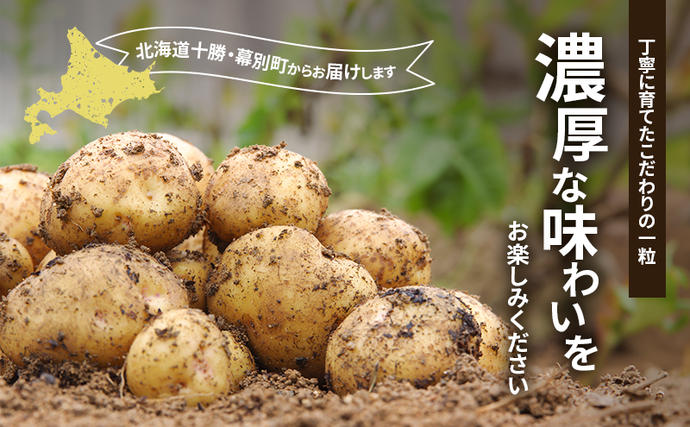 十勝 幕別町産 じゃがいも10kg (デストロイヤー) 渡邉農場 [2026年11月