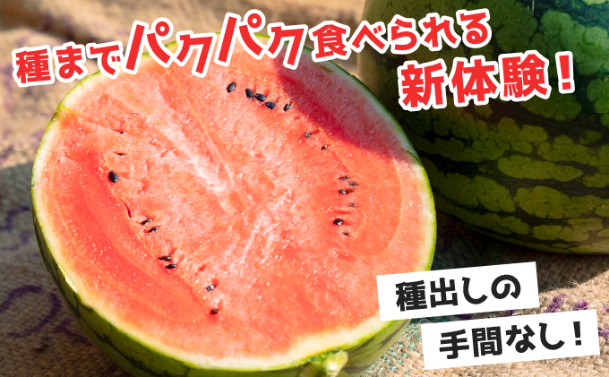 北海道伊達市のふるさと納税 ＜先行予約＞北海道伊達産 小玉スイカ "ピノ・ガール" 【tom-001】