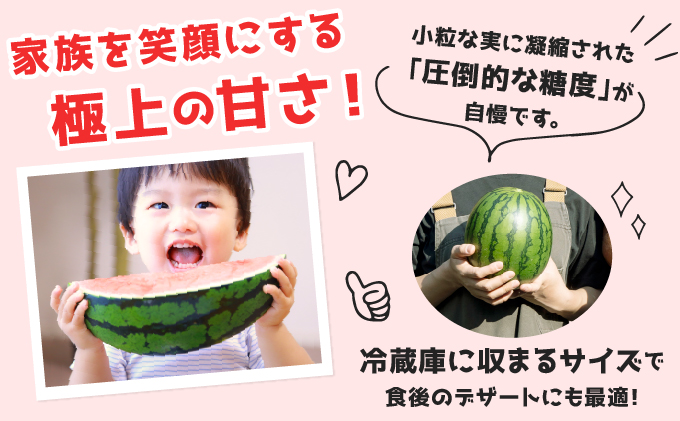 北海道伊達市のふるさと納税 ＜先行予約＞北海道伊達産 小玉スイカ "ピノ・ガール" 【tom-001】