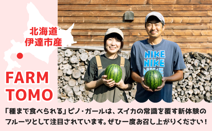 北海道伊達市のふるさと納税 ＜先行予約＞北海道伊達産 小玉スイカ "ピノ・ガール" 【tom-001】