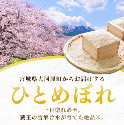宮城県大河原町のふるさと納税 ひとめぼれ 定期便12回/5kg×1袋 令和8年産 新米 先行予約 宮城県産 米 精米 白米