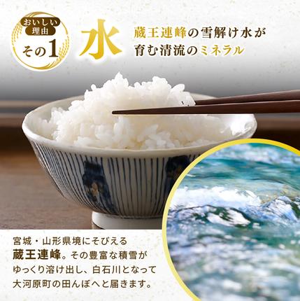 宮城県大河原町のふるさと納税 ひとめぼれ 定期便12回/5kg×1袋 令和8年産 新米 先行予約 宮城県産 米 精米 白米