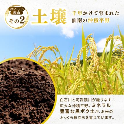 宮城県大河原町のふるさと納税 ひとめぼれ 定期便12回/5kg×1袋 令和8年産 新米 先行予約 宮城県産 米 精米 白米