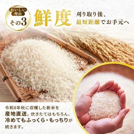 宮城県大河原町のふるさと納税 ひとめぼれ 定期便12回/5kg×1袋 令和8年産 新米 先行予約 宮城県産 米 精米 白米