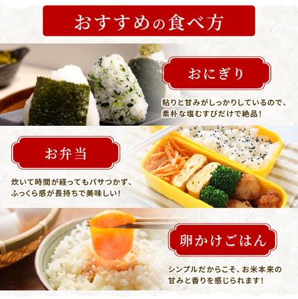 宮城県大河原町のふるさと納税 ひとめぼれ 定期便12回/5kg×1袋 令和8年産 新米 先行予約 宮城県産 米 精米 白米