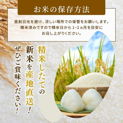 宮城県大河原町のふるさと納税 ひとめぼれ 定期便12回/5kg×1袋 令和8年産 新米 先行予約 宮城県産 米 精米 白米