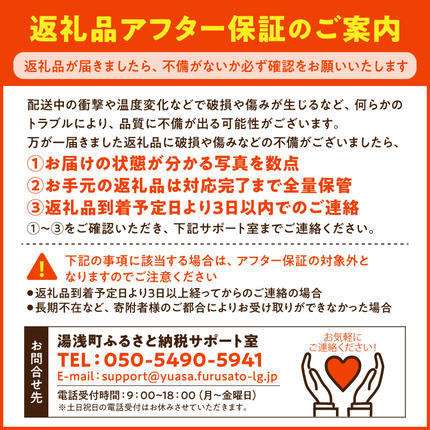 和歌山県湯浅町のふるさと納税 【2027年先行予約】紀州有田産 不知火 (しらぬひ) 2.5kg_G7108