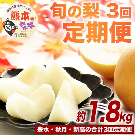 定期便3回 梨 約1.8kg×3回 計約5