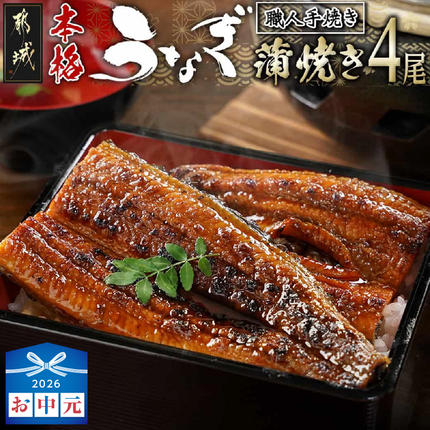 [お中元]職人手焼きの本格うなぎ蒲焼き4尾_AD-33-003-4-SG