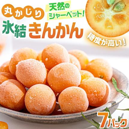 宮崎県都城市のふるさと納税 【お中元】内山金柑園のまるかじり氷結きんかん7パック_AO-J703-SG