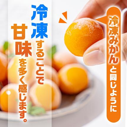 宮崎県都城市のふるさと納税 【お中元】内山金柑園のまるかじり氷結きんかん7パック_AO-J703-SG