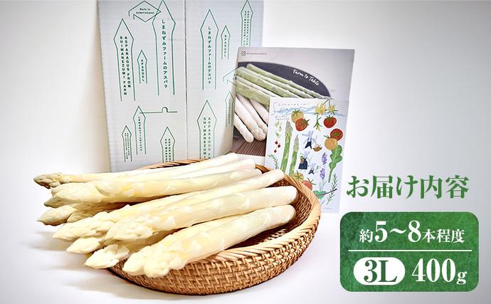 北海道上富良野町のふるさと納税 【令和8年産】〔メディア掲載されました〕 ホワイト アスパラガス 3L 400g 春アスパラ 野菜 旬 新鮮 産地直送 甘い 極太 お取り寄せ グルメ 高評価 限定 北海道 上富良野産