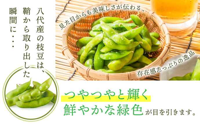 熊本県八代市のふるさと納税 熊本県八代市産 枝豆 1.5kg えだまめ エダマメ 茶豆 産地直送 おつまみ 野菜 お弁当 豆 まめ 旬 熊本県 八代市