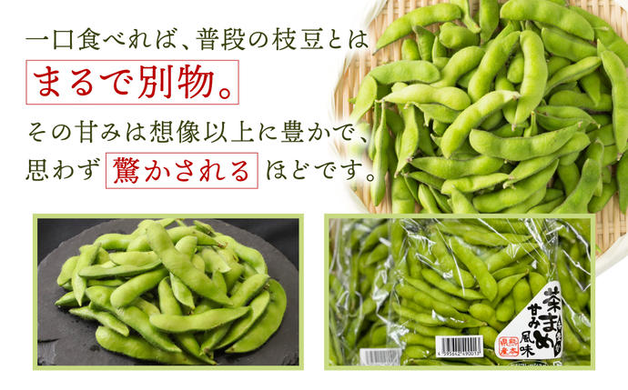 熊本県八代市のふるさと納税 熊本県八代市産 枝豆 1.5kg えだまめ エダマメ 茶豆 産地直送 おつまみ 野菜 お弁当 豆 まめ 旬 熊本県 八代市