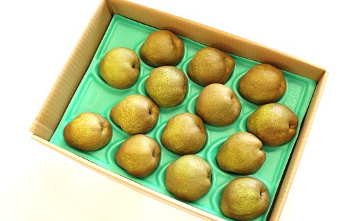 山形県南陽市のふるさと納税 【令和8年産先行予約】 〈訳あり品 家庭用〉 ラ・フランス 約5kg (10～18玉 中～大玉) 《令和8年11月上旬～発送》 『旬の果実 佐藤市右衛門農園』 ラフランス 西洋梨 洋なし 訳あり 果物 フルーツ デザート 山形県 南陽市 [1047]