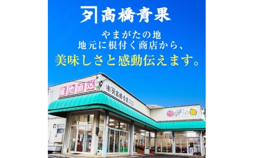 山形県南陽市のふるさと納税 【令和8年産先行予約】 〈訳あり品 家庭用〉 りんご 「サンふじ」 約5kg バラ詰め 《令和8年12月上旬～令和9年2月下旬発送》 『カネタ高橋青果』 リンゴ 山形県 南陽市 [1958]
