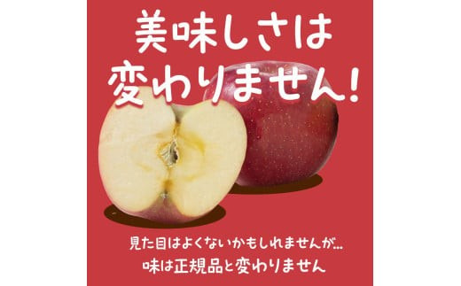 山形県南陽市のふるさと納税 【令和8年産先行予約】 〈訳あり品 家庭用〉 りんご 「サンふじ」 約10kg バラ詰め 《令和8年12月上旬～令和9年2月下旬発送》 『カネタ高橋青果』 リンゴ 山形県 南陽市 [1959]