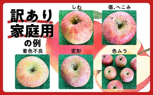 山形県南陽市のふるさと納税 【令和8年産先行予約】 〈訳あり品 家庭用〉 りんご 「サンふじ」 約10kg バラ詰め 《令和8年12月上旬～令和9年2月下旬発送》 『カネタ高橋青果』 リンゴ 山形県 南陽市 [1959]